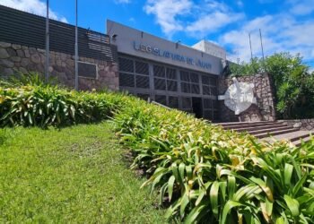 Alivio impositivo a monotributistas y deudores alimentarios: qué leyes debate hoy la Legislatura de Jujuy