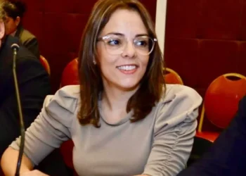 La UCR durísima contra LLA: “más del 54% de la factura de luz se lo lleva Milei”