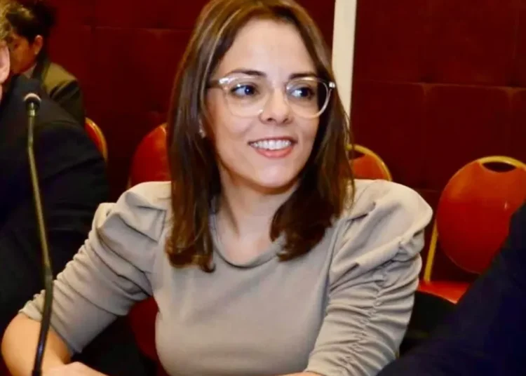 La UCR durísima contra LLA: “más del 54% de la factura de luz se lo lleva Milei”