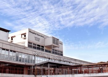 “Violencia es mentir”: El Hospital Garrahan desmintió donaciones del hijo del Indio Solari tras un pedido de informes de El Disenso