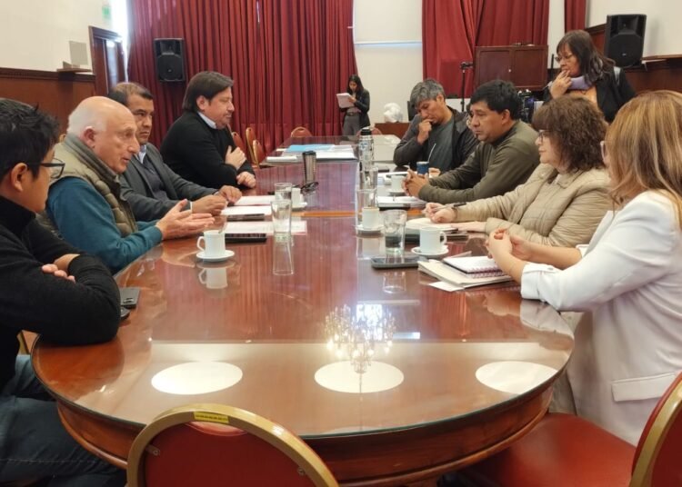 La Cámara de la Construcción analizó el proyecto de ley sobre la implementación de un cupo del 5 % de mujeres en obras