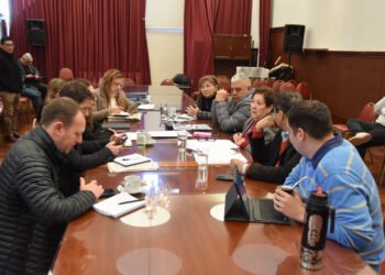 La Comisión de Educación dio despacho favorable a la reglamentación de la Ley de Grilla