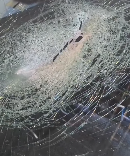“No me maté de pedo”: Un automovilista fue víctima de un violento piedrazo desde un puente en la Autopista Buenos Aires-La Plata