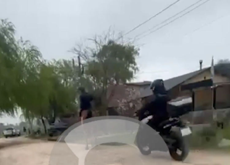 Mar del Plata: Quedó grabado el momento en que un policía derrapó y chocó contra un caballo en plena persecución